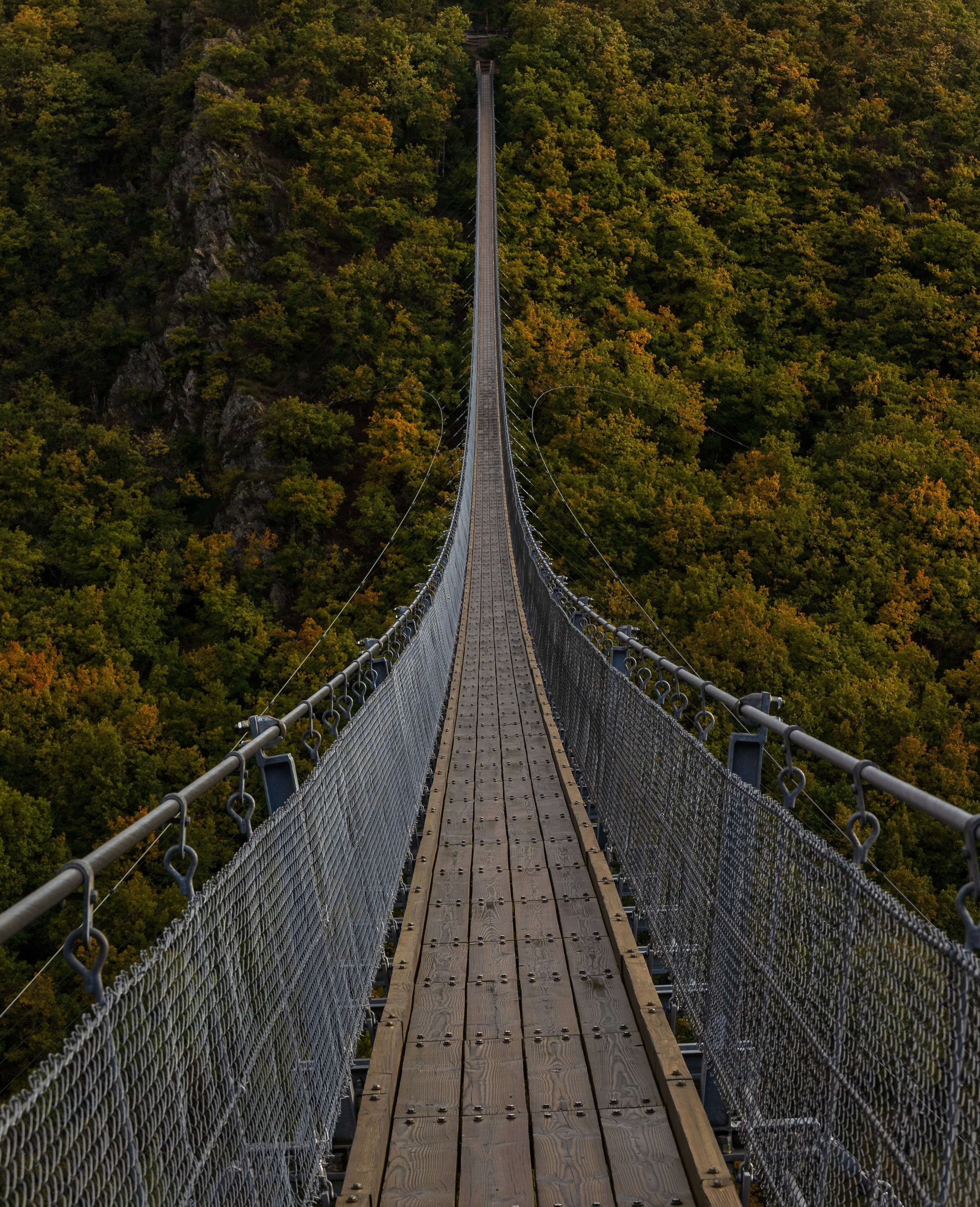 Bridge over forrest